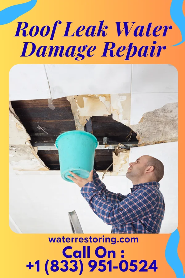 Roof Leak Water Damage Repair in Camargito, TX